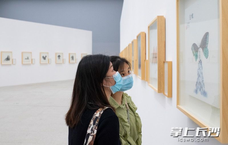 艺术爱好者们正在观看展览。