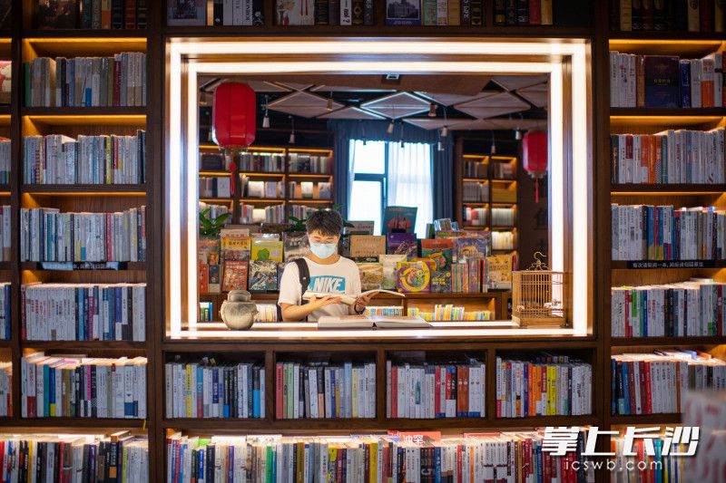 在拙鱼书房，书是绝对主角。一位市民正在看书。长沙晚报全媒体记者 邹麟 摄