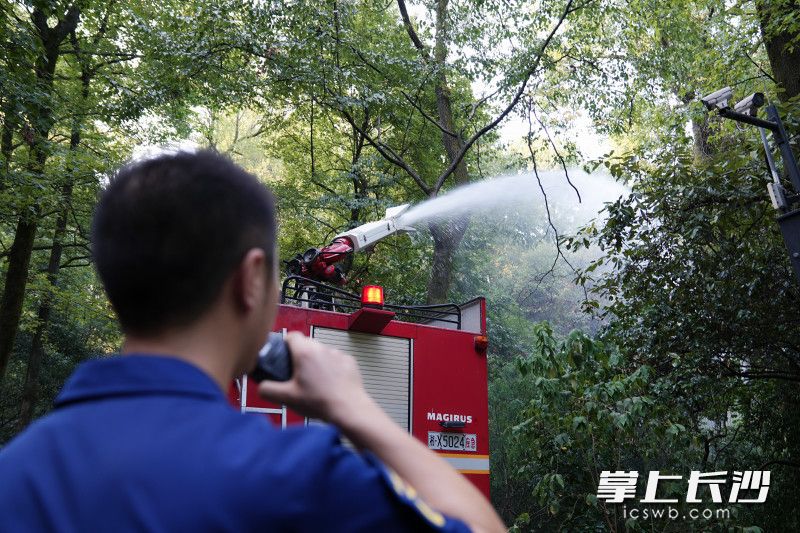 消防车出水为树木增湿。