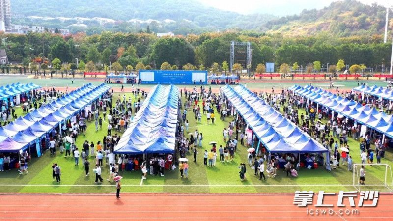 中南大学2023届秋季第一场毕业生供需见面会在该校新校区体育场举行。均为学校供图