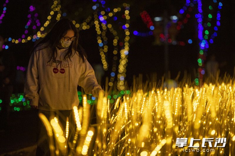 游客在田汉文化园光影艺术公园内游玩。