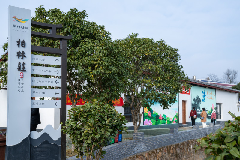 宁乡市夏铎铺镇凤桥社区打造美丽宜居村庄，村民群众如同生活在画中。