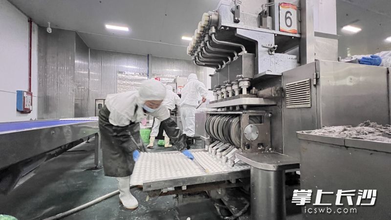 速冻食品生产企业里元宵生产忙。图片均为长沙晚报全媒体记者  周辉霞 摄