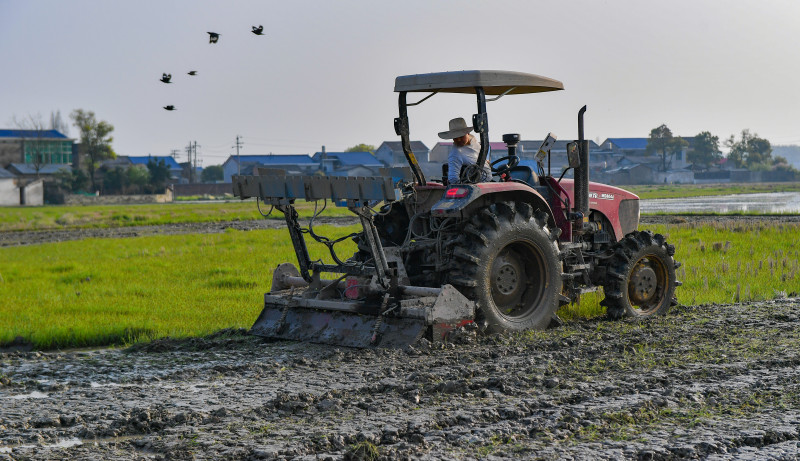 双江口镇堪称宁乡“最大粮仓”，新农人正在驾驶大型农机投入春耕生产。资料图片