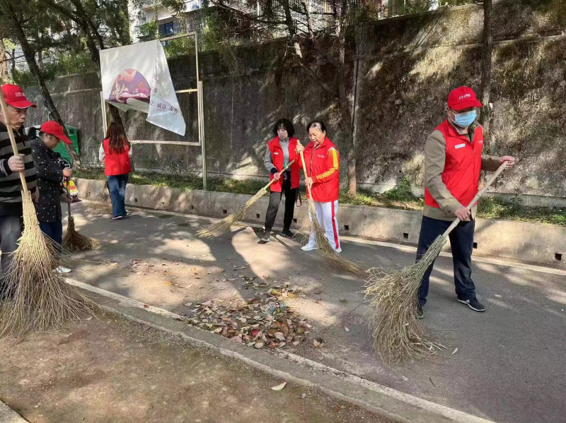 各区县（市）的志愿者积极参与爱国卫生大扫除。