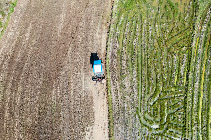 在宁乡灰汤镇的田野上，新农人王新宇正驾驶大型旋耕机平整田地。