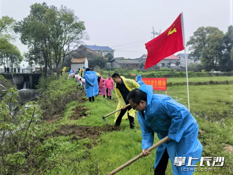 双江口镇通过开展义务植树活动，提升广大干群的环保意识，持续改善乡村人居环境。