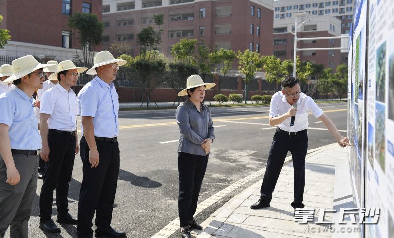 吴桂英调研金阳新城规划建设情况。