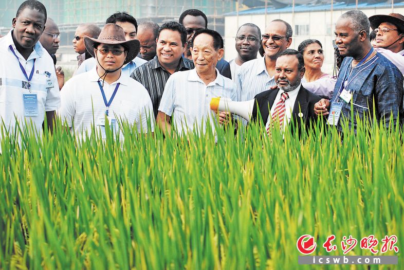 2009年9月 中国杂交水稻技术对外合作部长级论坛迎来各路嘉宾。袁隆平在田间与国际友人交流。
