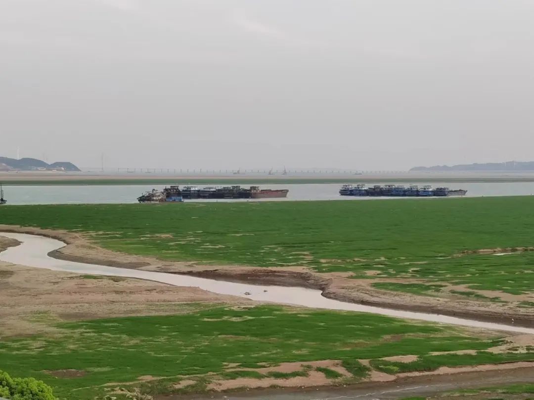 受持续晴热少雨等天气因素影响，鄱阳湖提前进入枯水期 图片来源：江西省气象局