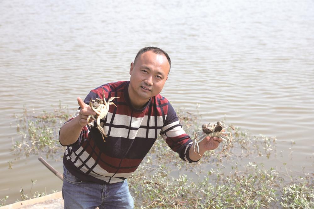 姜灵相和他所养殖的青阳湖大闸蟹。