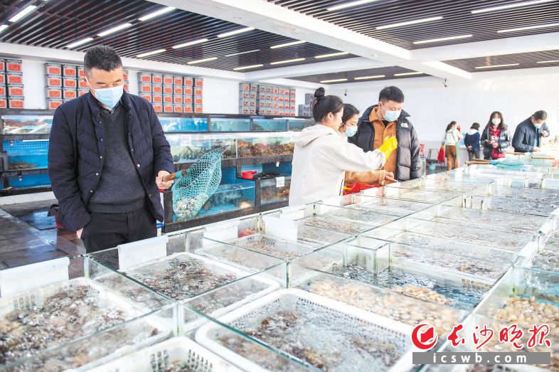市民在长沙马王堆海鲜水产批发市场选购海鲜。