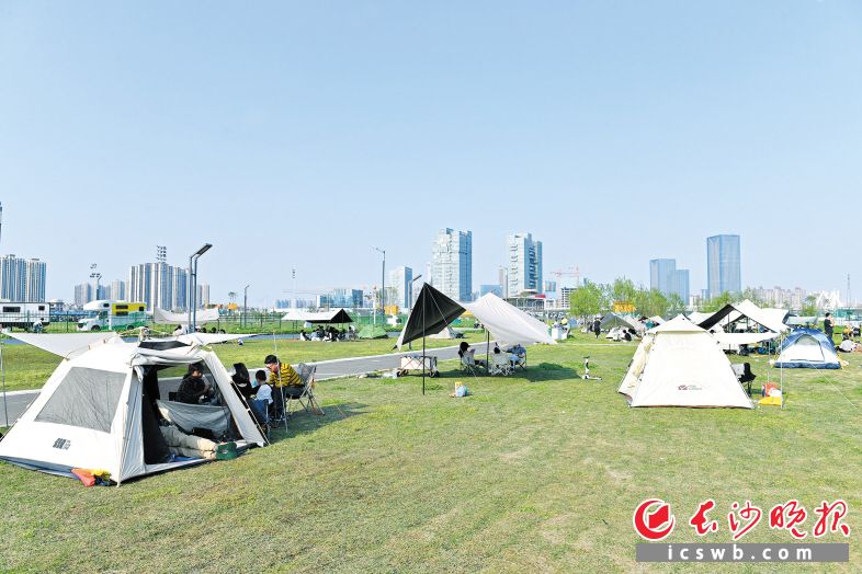 4月1日下午，马栏山鸭嘴公园内遍布着五颜六色的帐篷，游客们纷纷来此享受阳光和野趣。长沙晚报全媒体记者 王志伟 摄